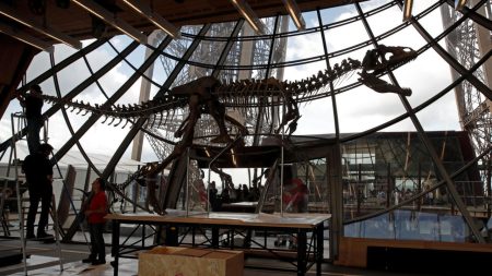 Le financement de la recherche de fossiles de dinosaures diminue alors que l’intérêt des Français augmente