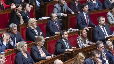 Assemblée nationale : l’hémicycle prouvé comme une scène de spectacle par des chercheurs Assemblée nationale : des chercheurs prouvent que l'hémicycle se transforme en scène de spectacle