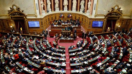 Budget 2025 : le Sénat approuve le projet de loi, examen en commission mixte paritaire suivant Budget 2025 : le Sénat approuve largement le projet de loi de finances, le texte va être examiné en commission mixte paritaire
