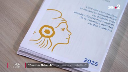Chasse aux comités Théodule : Va-t-elle avoir lieu ? "Comités Théodule" : la chasse aura t-elle lieu ?
