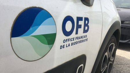 Conflit OFB-agriculteurs : « Les agents sont seuls », déplore un syndicaliste après Matignon Conflit entre l'OFB et les agriculteurs : "On a le sentiment que les agents sont tout seuls", déplore un syndicaliste de l'Office après une réunion à Matignon