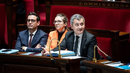 Darmanin : propositions pour alourdir les peines contre les violences faites aux femmes Plaider-coupable, peines alourdies... Gérald Darmanin dévoile une série de propositions destinées à combattre les violences faites aux femmes