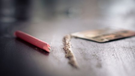 Étude 2023 : plus d’un million de Français ont consommé de la cocaïne Plus d'un million de personnes ont consommé de la cocaïne en France en 2023, selon une étude sur les drogues