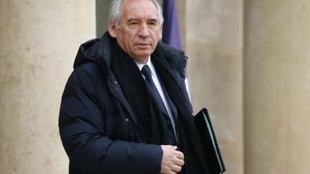 Fin de vie : François Bayrou critiqué pour avoir scindé le texte de loi en deux Fin de vie : pourquoi la décision de François Bayrou de scinder en deux le texte de loi est critiquée