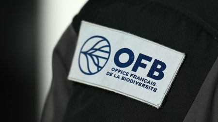 Grève à l’OFB : « Méconnaissance totale du rôle des agents », déplore le SNE-FSU. La police de l'environnement en grève :"Il y a une totale méconnaissance de ce que font les agents de l'OFB", déplore le SNE-FSU