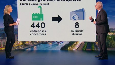 Impôts : Quelles entreprises contribueront le plus à l’effort du gouvernement ? Impôts : quelles entreprises vont le plus contribuer à l'effort demandé par le gouvernement ?