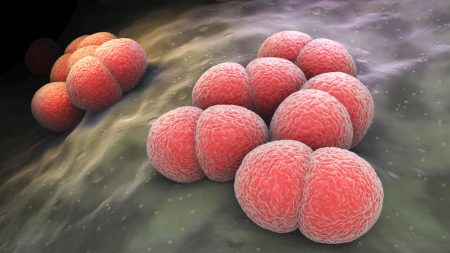 La France renforce la vaccination contre la méningite pour lutter contre l'augmentation des infections mortelles