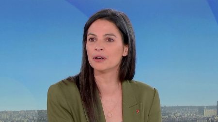 Mobilisation des jeunes : Macron cache le fiasco du SNU, selon la députée LFI Marianne Maximi Mobilisation des jeunes "en renfort" des armées : "Emmanuel Macron cache le fiasco du SNU, c'est un président à bout de souffle", charge Marianne Maximi, députée LFI