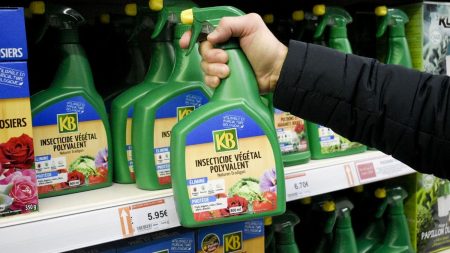 Réintroduction des néonicotinoïdes : défenseurs de la biodiversité consternés "Catastrophe", "hérésie", "aberration" : les défenseurs de la biodiversité effarés par le projet de réintroduction des néonicotinoïdes