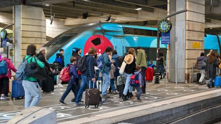 La SNCF ne doit pas vous obliger à choisir entre "monsieur" ou "madame" pour acheter un billet de train, selon la justice européenne