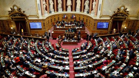 Budget 2025 : dons aux associations contre violences domestiques déductibles à 75% Budget 2025 : le Sénat vote la suppression du haut-commissariat au Plan, dont François Bayrou est à la tête