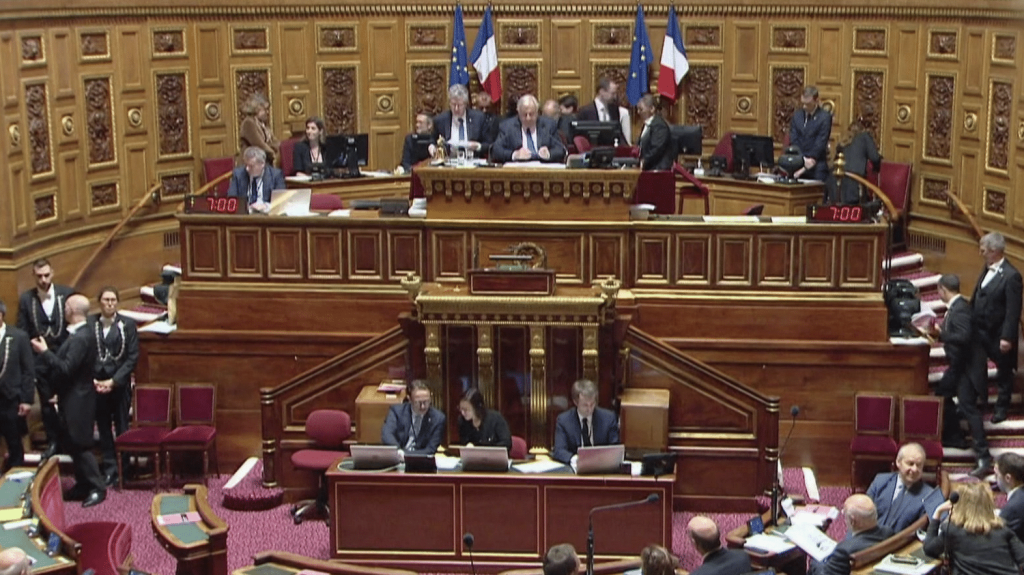 Budget 2025 : le projet de loi de finances adopté au Sénat