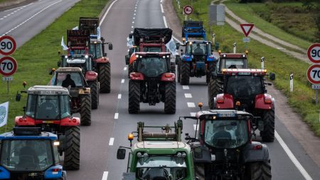 Syndicats agricoles reçus à Matignon le 13 janvier pour discuter de la crise Crise agricole : les syndicats reçus à Matignon le 13 janvier