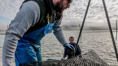Bassin d’Arcachon : deux responsables du syndicat d'assainissement et de Veolia en garde à vue dans l'enquête sur les débordements d'eaux usées en décembre 2023