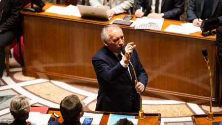 Bayrou : usage de l’article 49-3 pour passer les budgets de l’État et de la Sécurité sociale François Bayrou annonce qu'il utilisera l'article 49-3 pour faire adopter les budgets de l'Etat et de la Sécurité sociale