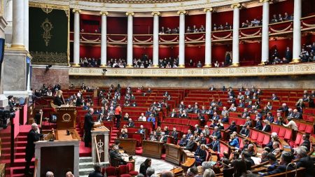 Budget 2025 : Bayrou utilise l’article 49.3 pour adopter le texte sans vote des députés Budget 2025 : François Bayrou déclenche l'article 49.3 pour faire adopter le texte sans le vote des députés
