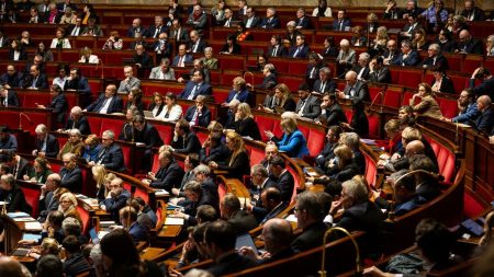 Budget 2025 : adoption sans vote du projet de loi de finances par 49.3 et François Bayrou Budget 2025 : que contient le projet de loi de finances adopté sans vote après le recours au 49.3 par François Bayrou ?
