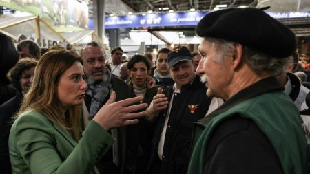 Écologistes cherchent à se rapprocher des agriculteurs au Salon de l’agriculture :
Reportage
"Je ne suis pas sûr que les deux arrivent à matcher" : au Salon de l'agriculture, les Écologistes tentent de se rapprocher des agriculteurs