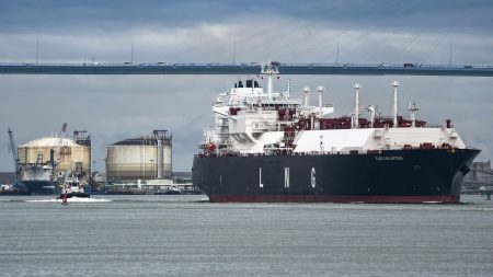 France : Dépenses gaz russe supérieures à l’aide militaire à l’Ukraine ? déclarations de Tondelier :
Vrai ou faux
La France dépense-t-elle plus pour acheter du gaz russe que pour aider militairement l'Ukraine, comme l'affirme Marine Tondelier ?