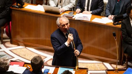 François Bayrou utilisera deux fois le 49.3 pour faire adopter budget de l’État et Sécurité sociale François Bayrou va recourir deux fois au 49.3 lundi pour faire adopter le budget de l'Etat et la première partie de celui de la Sécurité sociale