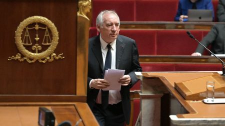 Immigration, retraites, fin de vie : les dossiers clés du gouvernement Bayrou après le budget Immigration, retraites, fin de vie… Après le budget, quels sont les dossiers majeurs sur la table du gouvernement de François Bayrou ?
