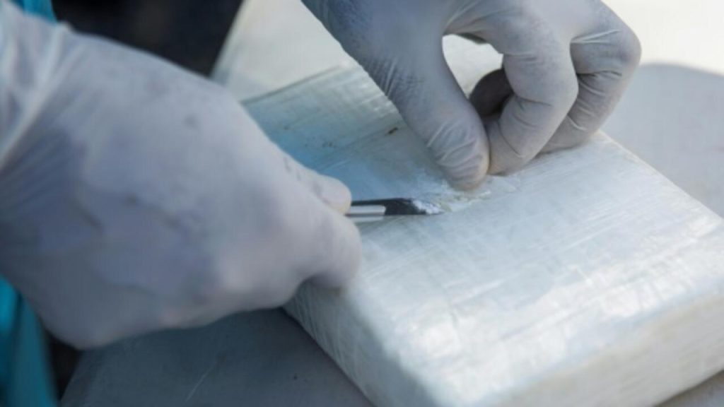La France appelle les consommateurs de drogue à «développer une conscience» sur des guerres mortelles de gazon