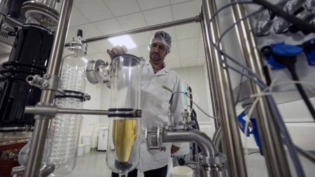 La marijuana médicale n'est toujours pas légale en France, malgré une expérience réussie