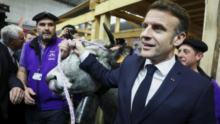 Macron promet que la France restera ferme contre l'accord commercial de l'UE-Mercosur