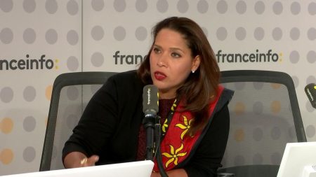 Mayotte : Youssouffa votera pour limiter le droit du sol, mais critique la classe politique. Mayotte : la députée Estelle Youssouffa votera "cette limitation du droit du sol", mais se dit "consternée" par "la classe politique"