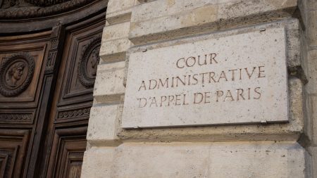 La justice administrative dénonce "avec force" les menaces et les injures proférées contre des juges et des avocats