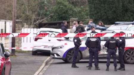 Meurtre de Louise : le principal suspect de 23 ans possiblement confondu par son ADN