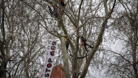 Chantier de l'A69 : un rassemblement d'opposants en cours devant la gare de Toulouse