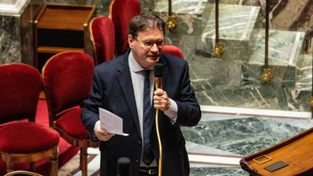 Philippe Gosselin (LR) rappelé à l’ordre pour propos sur deux élues insoumises Le député LR Philippe Gosselin appelle deux élues insoumises à "rester" dans leurs "niches", un rappel à l'ordre prononcé à son encontre