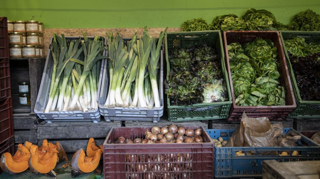 Et si on vous donnait 150 euros par mois pour bien manger ? On vous explique comment fonctionne la Sécurité sociale de l'alimentation