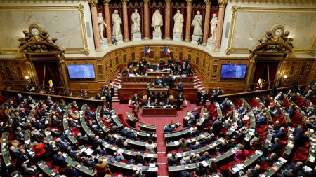 Affaire de la "sextape" du Sénat : le procès annulé après le retrait de plainte d'un ex-sénateur