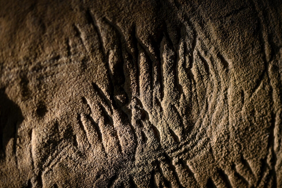 Marques de griffe d'ours et gravures artificielles datant de 30 000 ans dans la grotte de Cussac.
