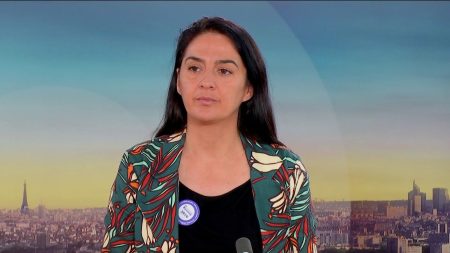 Affaire Chahinez Daoud : “Il y a de bout en bout de la chaîne des dysfonctionnements et il faut s’atteler à les régler”, affirme la directrice générale de la fédération nationale Solidarités Femmes