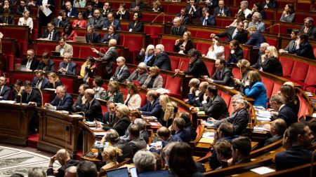 L'Assemblée nationale se prononce à l'unanimité pour la suppression du vote par "assis et levé"