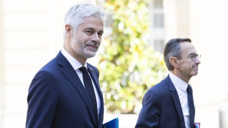 Augmentation de 42% des adhésions : Retailleau et Wauquiez recherchent des soutiens pour LR :
Reportage
"Une augmentation de 42% des adhésions" : les équipes de Bruno Retailleau et de Laurent Wauquiez à la pêche aux soutiens pour la présidence de LR