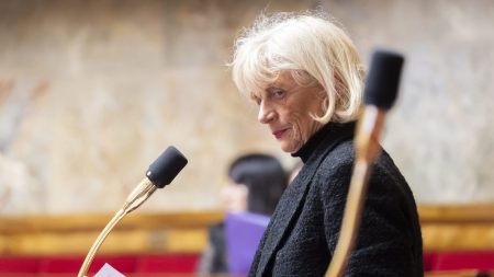 Christine Engrand, députée du Pas-de-Calais, exclue définitivement du RN pour avoir utilisé son enveloppe parlementaire à des fins personnelles