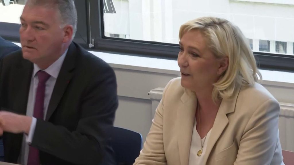 Condamnation de Marine Le Pen à cinq ans d'inéligibilité : quel avenir politique ?
