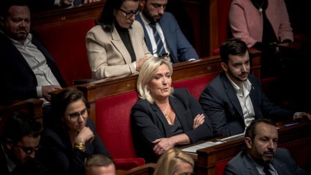 Programmation pluriannuelle de l'énergie : le gouvernement ne ferme pas la porte au débat réclamé par le RN