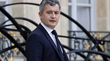 Expulsion des étrangers détenus : les souhaits de Gérald Darmanin sont-ils réalisables ? :
Vrai ou faux
Peut-on vraiment expulser les étrangers détenus dans les prisons françaises, comme le souhaite Gérald Darmanin ?