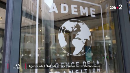 Agences de l'État : les fausses pistes d'économie ?