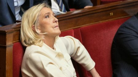 Jugement du procès des assistants FN : préoccupations au RN malgré la sérénité de Marine Le Pen Procès des assistants parlementaires du FN : à la veille du jugement, l'inquiétude au RN cachée sous la sérénité affichée de Marine Le Pen