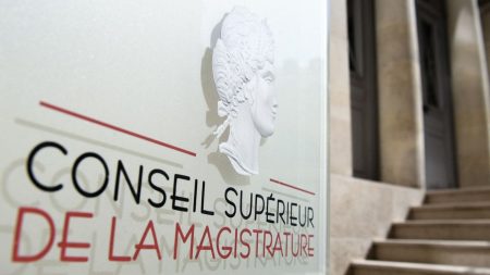 Condamnation de Marine Le Pen : le Conseil supérieur de la magistrature dénonce une grave remise en cause de "l'indépendance" de la justice après des réactions "virulentes"