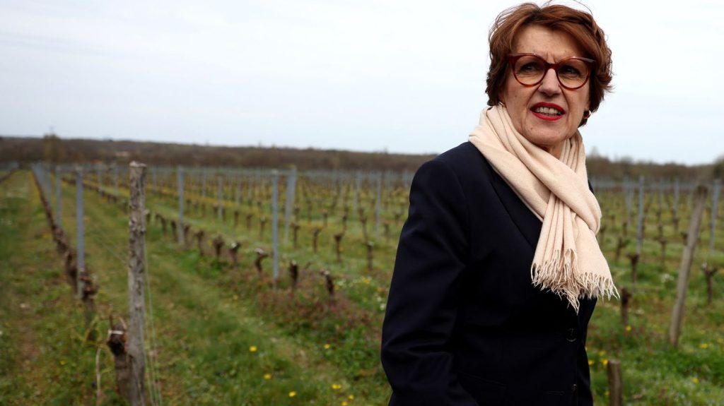 Loi d'orientation agricole : "De mon point de vue, l'essentiel du texte a été conservé", réagit la ministre de l'Agriculture