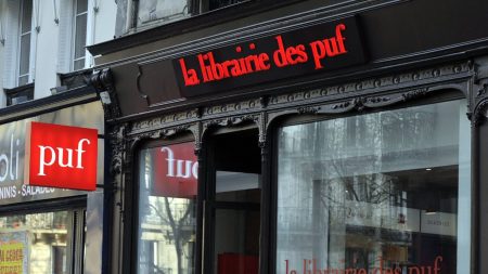 Les Presses universitaires de France suspendent la parution d'un ouvrage "anti-woke"