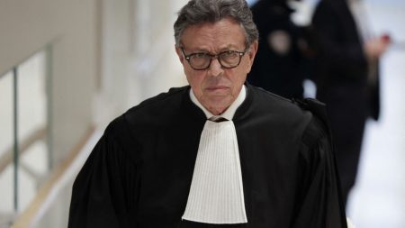 Procès libyen : réquisitions choquantes, selon l’avocat de Sarkozy, visent à bouleverser l’opinion Réquisitions dans le procès libyen : "Des mots choisis pour bouleverser Nicolas Sarkozy et frapper l'opinion", dénonce l'un de ses avocats