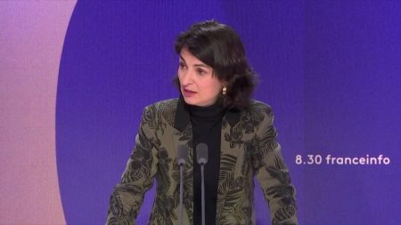 Réforme des conditions de maintien en logement social : "Cette loi est basée sur un mensonge", lance la députée insoumise Aurélie Trouvé